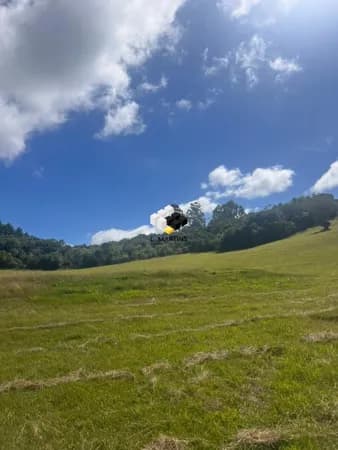 Vende-se Fazenda em Sertão Santana 30 Hectares toda ela piqueteada 5 piquetes três galpões