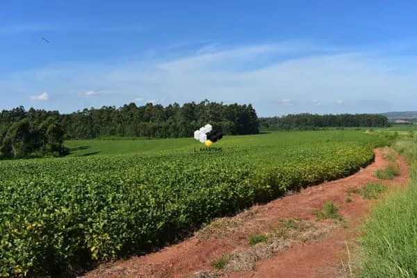 Fazenda a Venda em Arroio dos Ratos Lavoura e Pecuária
