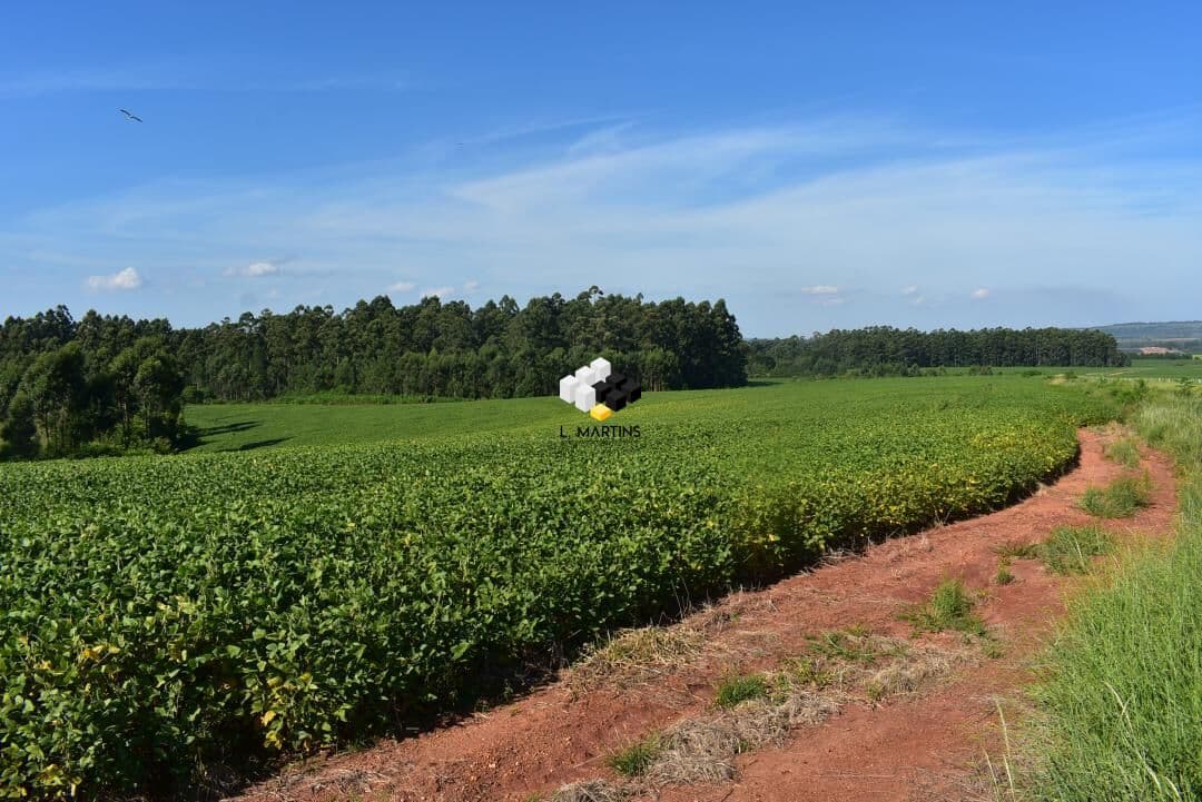 Fazenda a Venda em Arroio dos Ratos Lavoura e Pecuária