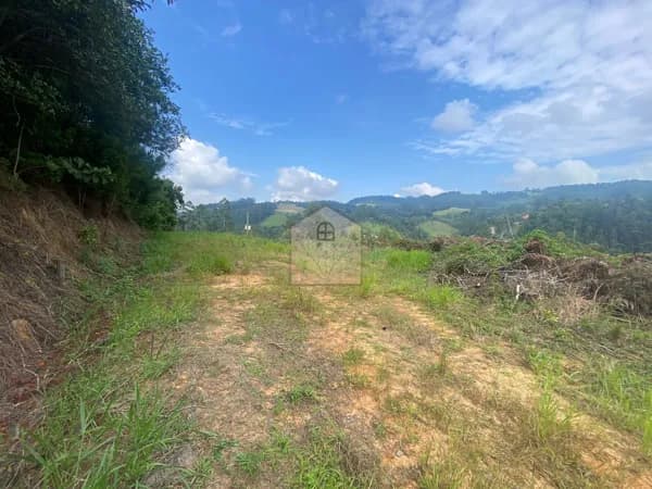 Lote/Terreno em Rio do Sul - Albertina