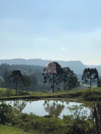 Fazenda/Sítios/Chácaras em Petrolândia - Área rural