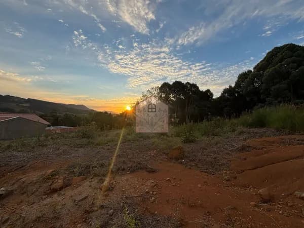 Lote/Terreno em Lontras - Pomerana