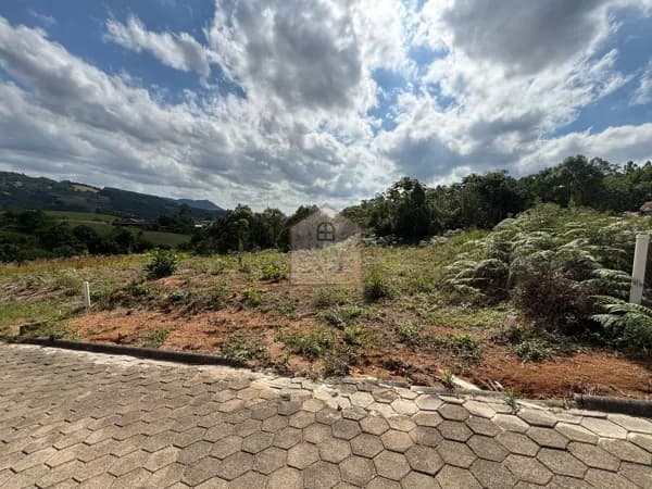 Lote/Terreno em Lontras - Pomerana