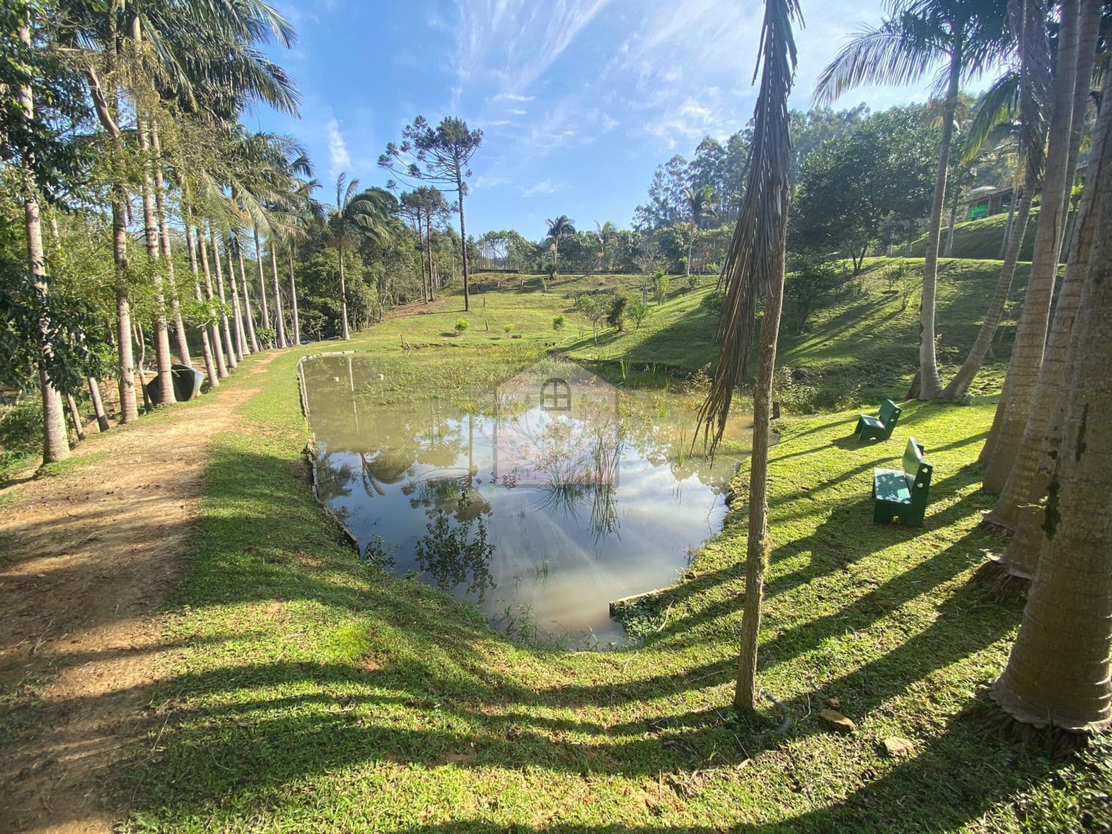 Fazenda/Sítios/Chácaras em Aurora - Ribeirão Strey