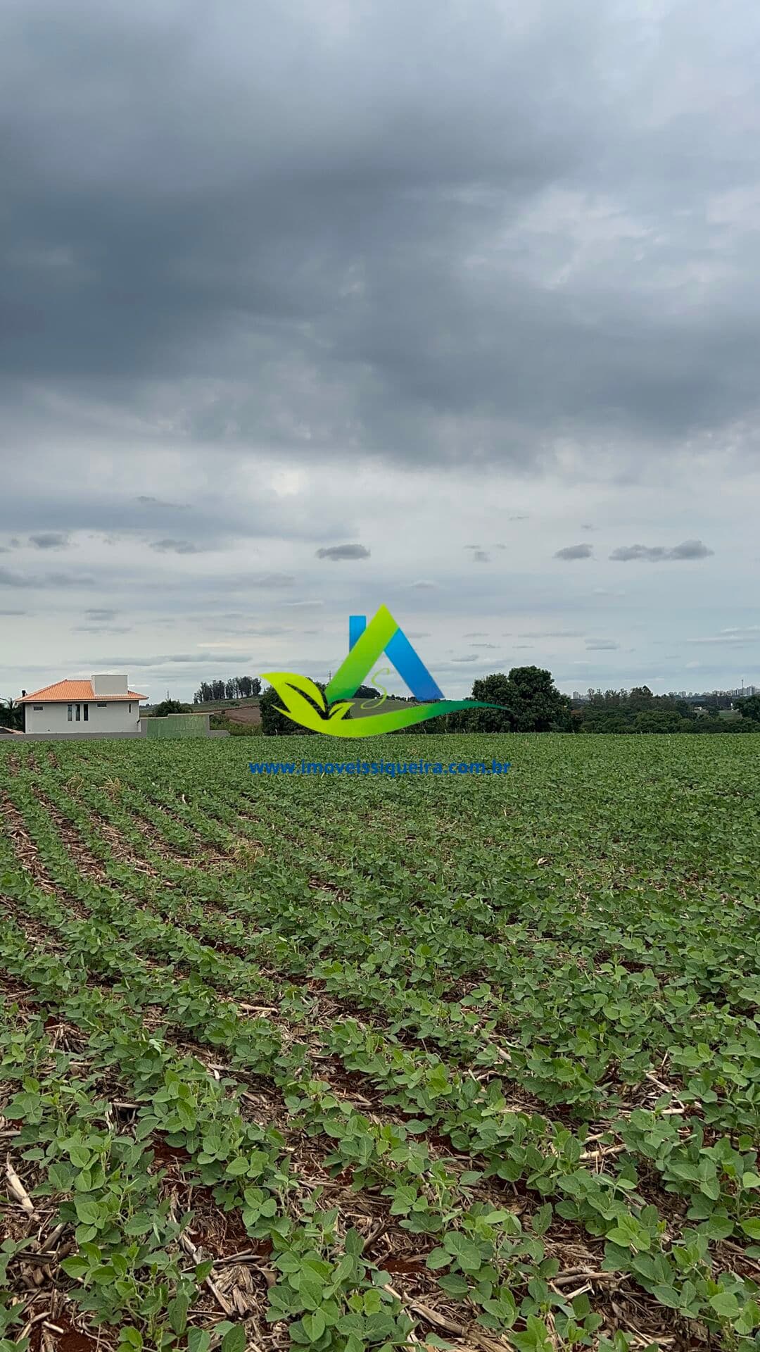 Sítio em Espírito Santo, Londrina/PR