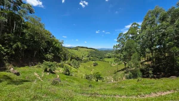 Fazenda com 31 Hectares em São Martinho – SC | Potencial para Turismo, Produção e Investimento