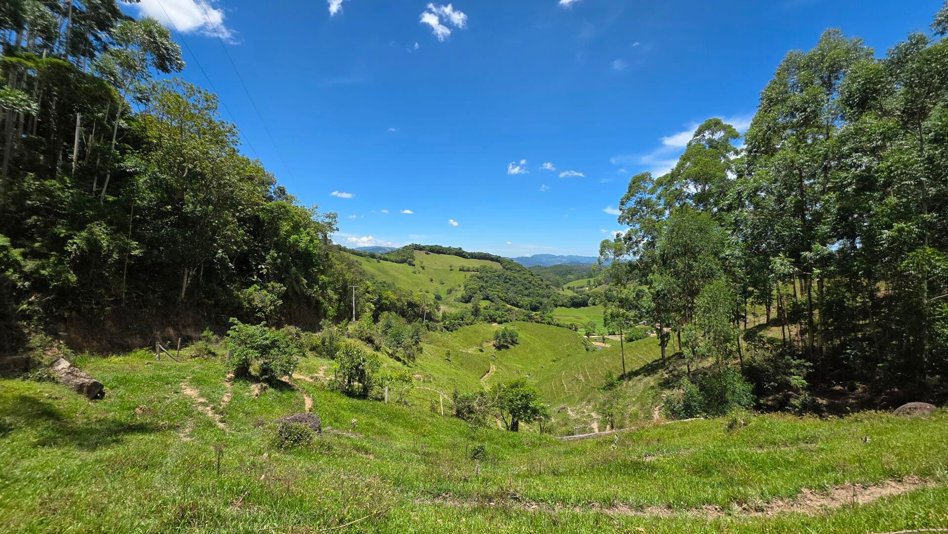 Fazenda com 31 Hectares em São Martinho – SC | Potencial para Turismo, Produção e Investimento