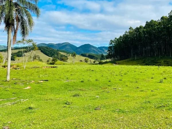 Fazenda à venda, 300000 m² por R$ 2.300.000,00 - Aratingauba - Imaruí/SC