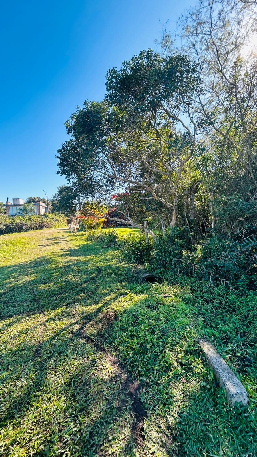 3 casas em frente a Lagoa de Ibiraquera - possibilidade de compra das 3 unidades ou somente a casa maior