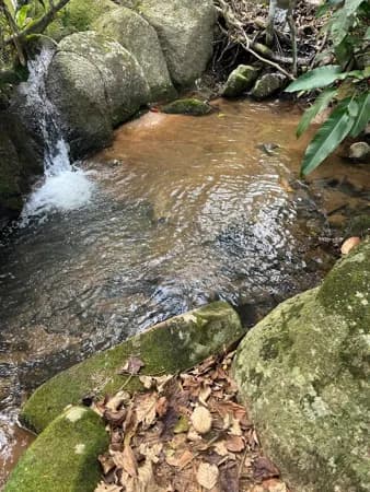 Refúgio Natural com Vista para a Lagoa e Cachoeiras em Imaruí – SC