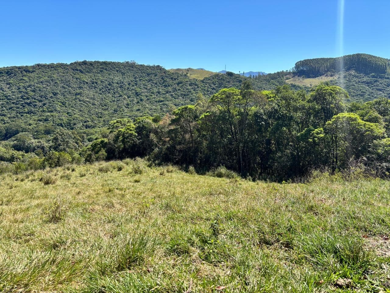 🌿🏡 Sítio dos Sonhos em Imaruí – 3,4 Hectares com Riacho e Natureza Exuberante 💧✨