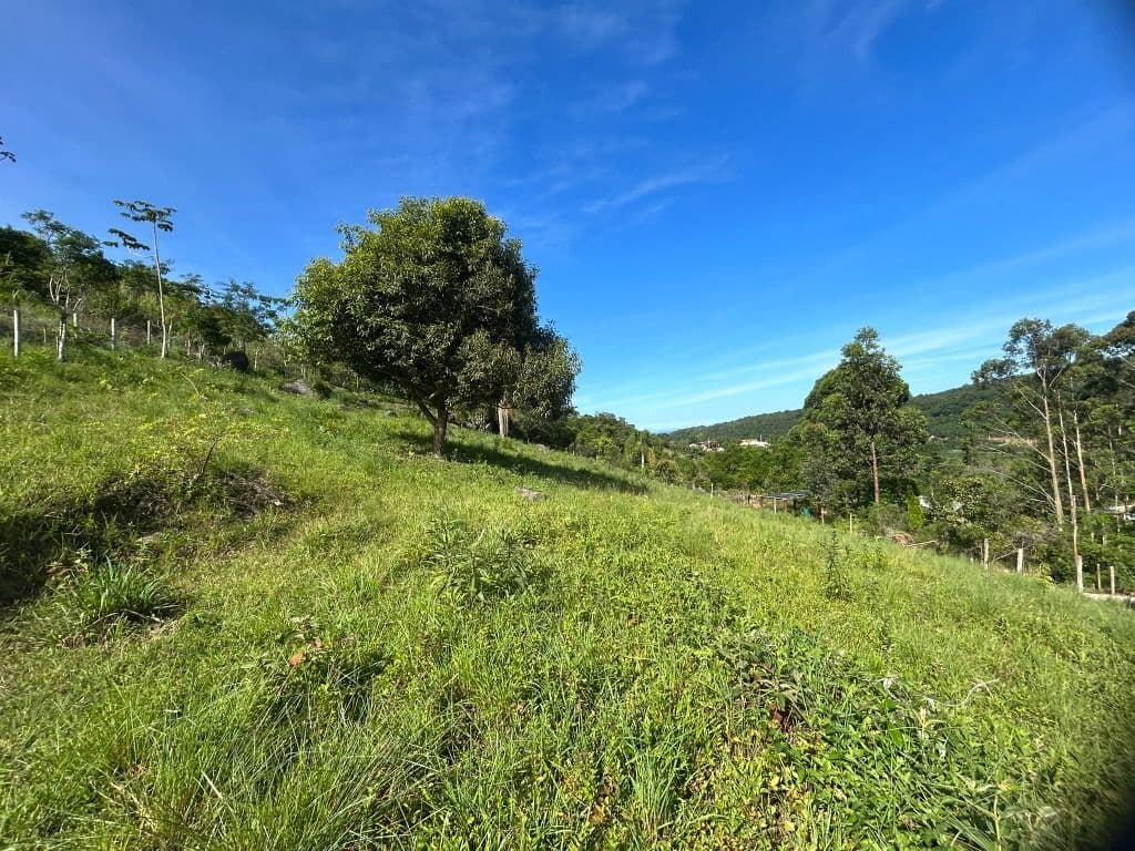 Terreno à venda, 1500 m² por R$470.000 - Macacú - Garopaba/SC
