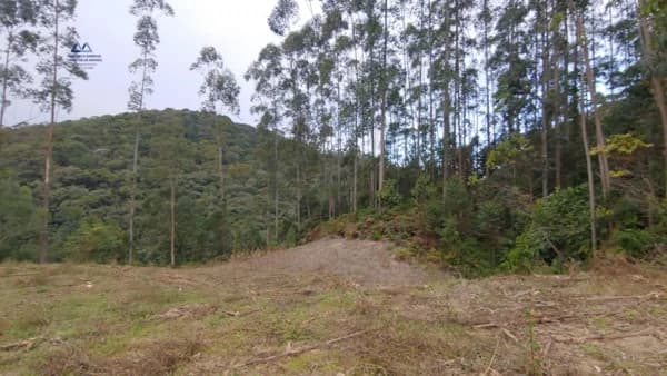 Área Rural para Venda em Barro Branco São Pedro de Alcântara-SC