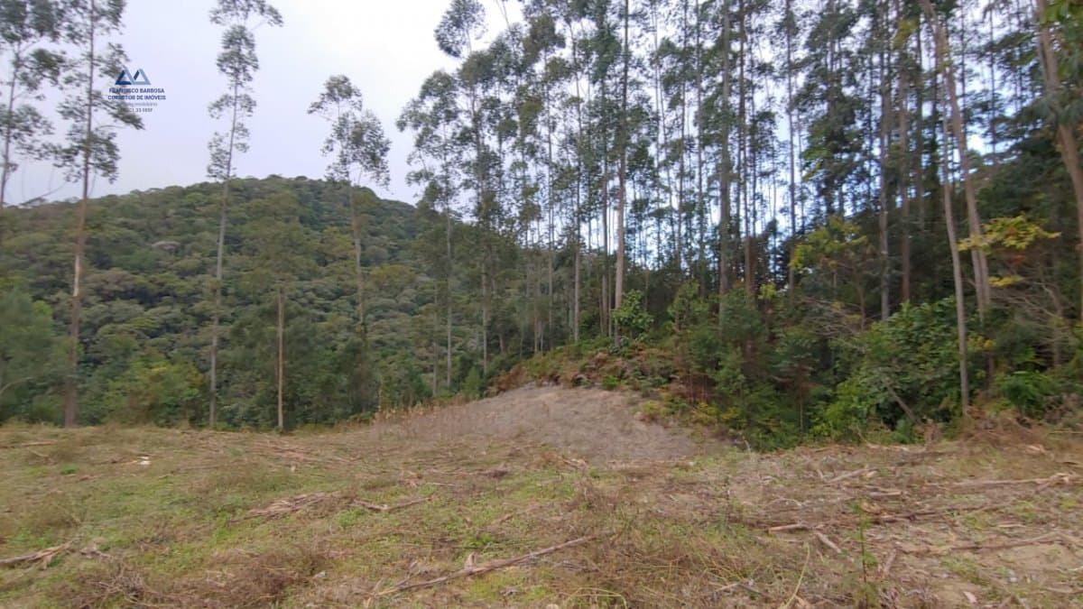 Área Rural para Venda em Barro Branco São Pedro de Alcântara-SC