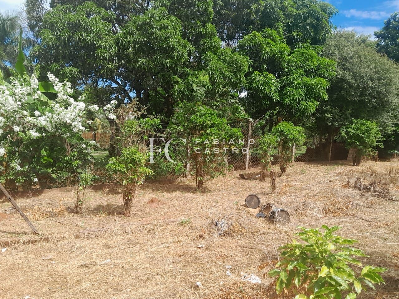Fazenda/Sítios/Chácaras em São José do Rio Preto - Centro (Talhado)