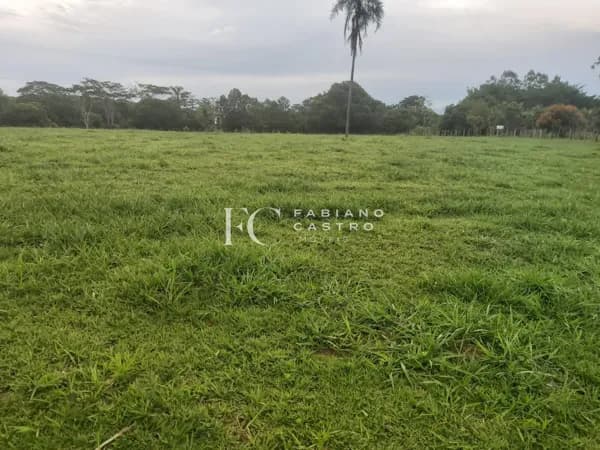 Fazenda/Sítios/Chácaras em Neves Paulista - Área Rural de Neves Paulista