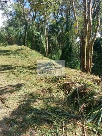 Terreno com 842 m² à venda por R$ 69.000 - Jardim Samambaia - Mairiporã/SP