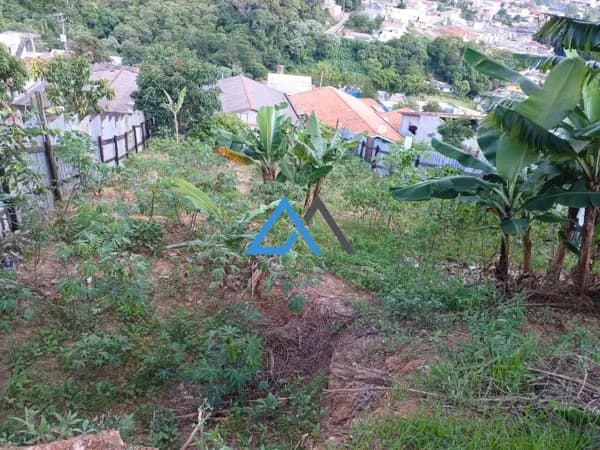 Terreno à Venda em Terra Preta - 300m²