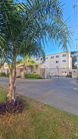 Apartamento 2 quartos 1 banheiro 1 vaga - Colônia Rio Grande - São José dos Pinhais