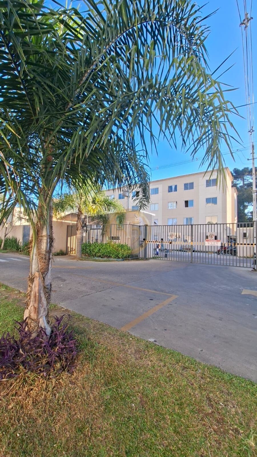 Apartamento 2 quartos 1 banheiro 1 vaga - Colônia Rio Grande - São José dos Pinhais