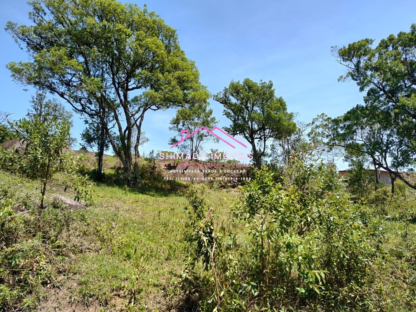 🌿 Mega Oportunidade: 15.000 m² por Apenas R$ 35 Mil! 💰