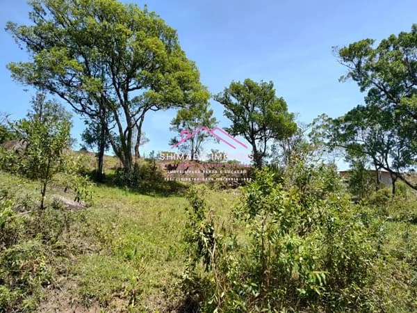 🌿 Mega Oportunidade: 15.000 m² por Apenas R$ 35 Mil! 💰