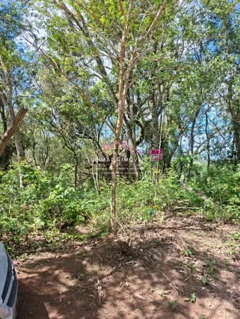 Oportunidade em Ibiúna: Terreno Próximo ao Centro – R$ 90.000