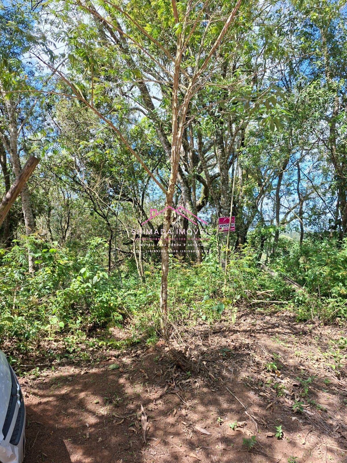 Oportunidade em Ibiúna: Terreno Próximo ao Centro – R$ 90.000