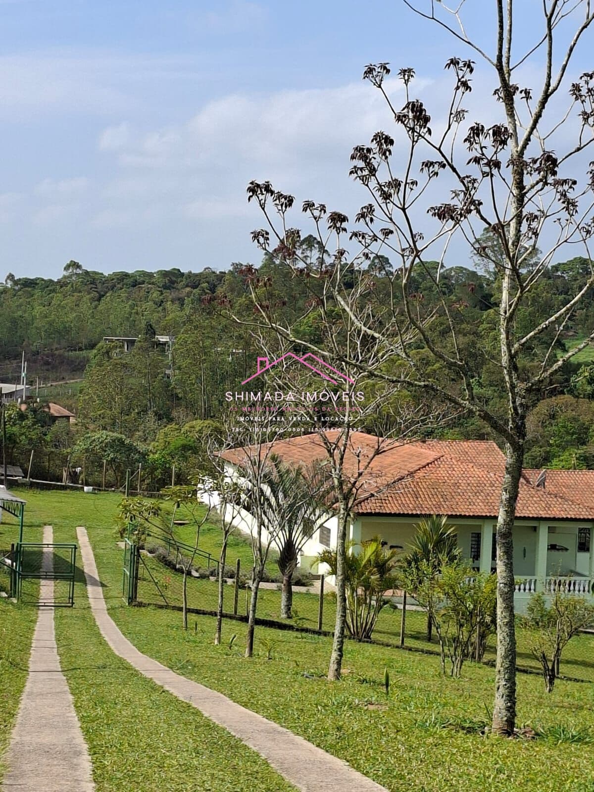Viva, Invista ou Empreenda no Campo – Sítio com Estrutura Completa! 💼