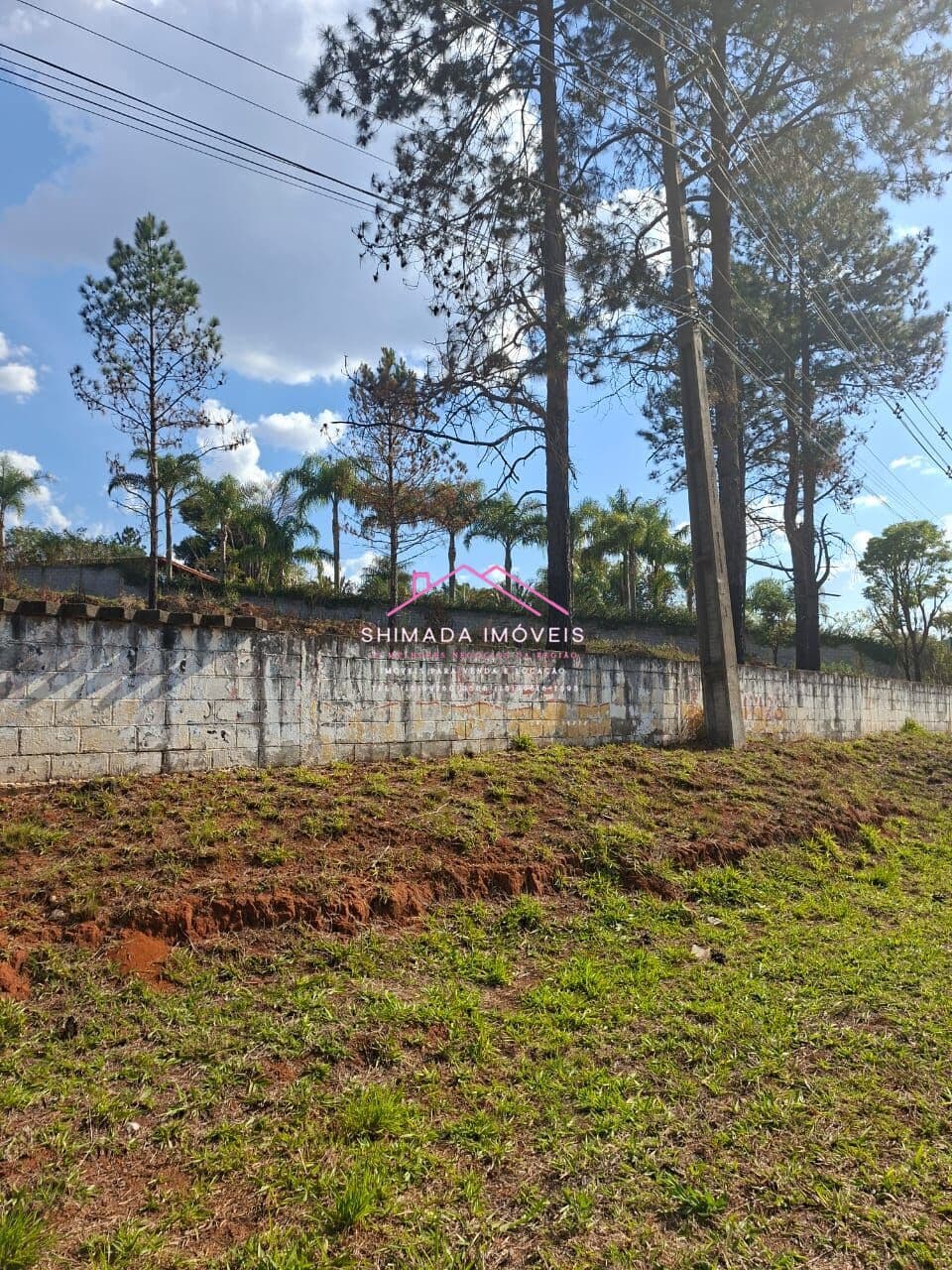🚧 Terreno de 5.000 m² na Rodovia – Ideal para Comércio!