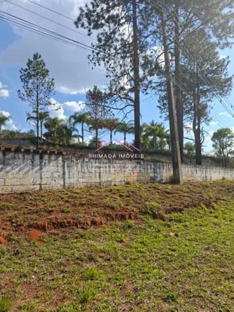 🚧 Terreno de 5.000 m² na Rodovia – Ideal para Comércio!
