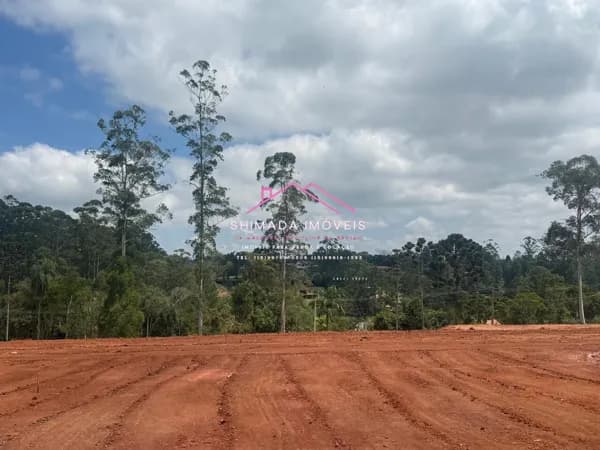 💰 Oportunidade: 12.500 m² em Condomínio Fechado em Ibiúna