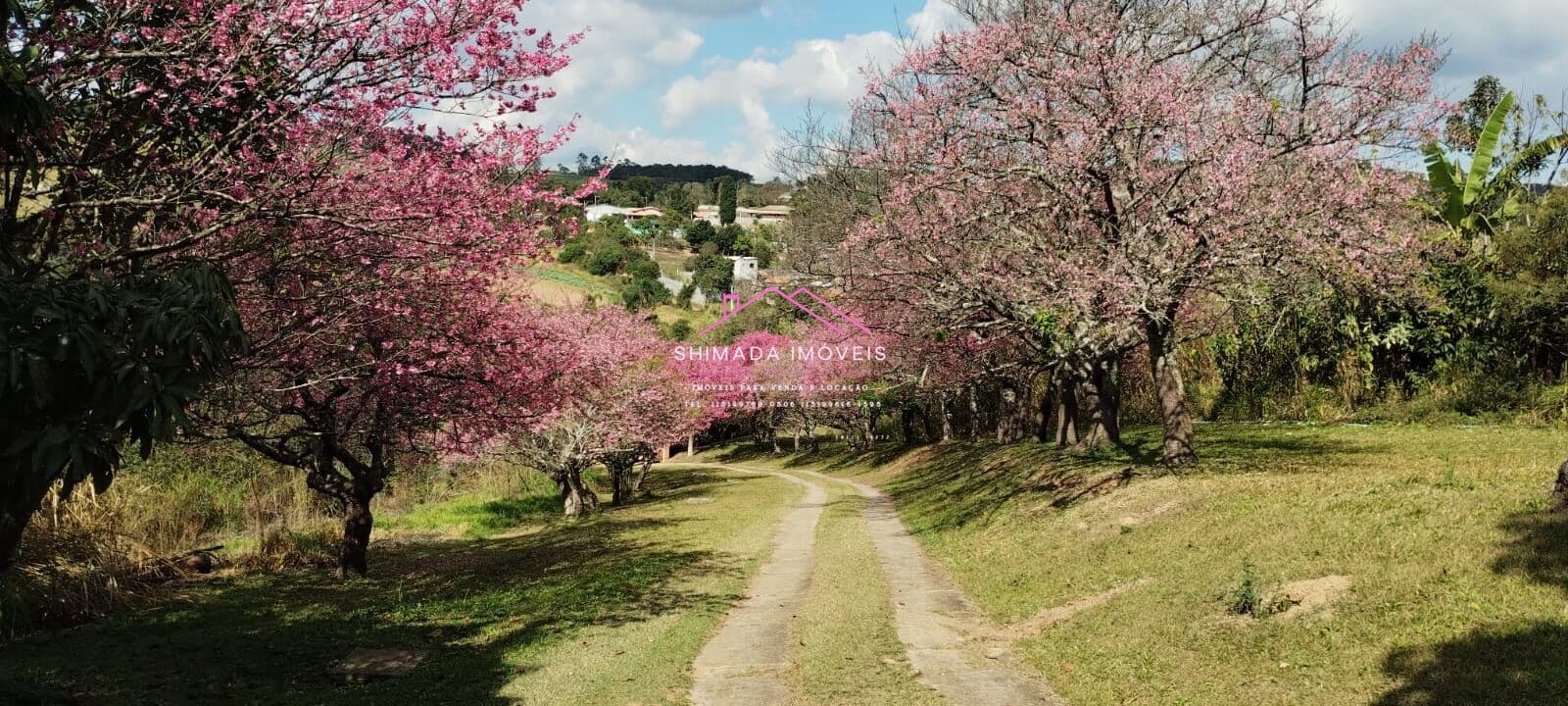 Casa em Ibiúna - Centro