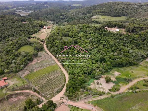 🍷✨ 33.000 m² na Rota do Vinho | Perfeito para Investidores