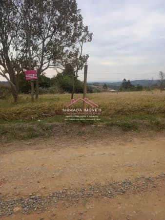 Terreno de 3.000m² em Piedade por Apenas R$120 Mil! Oportunidade!