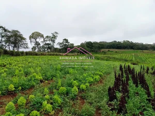 Terreno em Centro, Ibiúna/SP