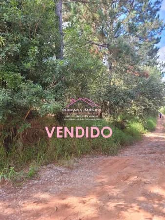 Terreno em Ibiúna/SP