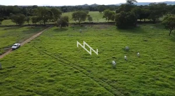 Fazenda com 179 Hectares - Porto Nacional - Tocantins