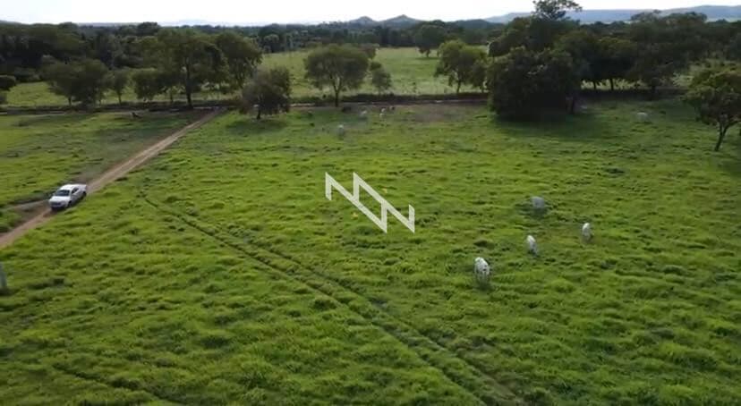 Fazenda com 179 Hectares - Porto Nacional - Tocantins