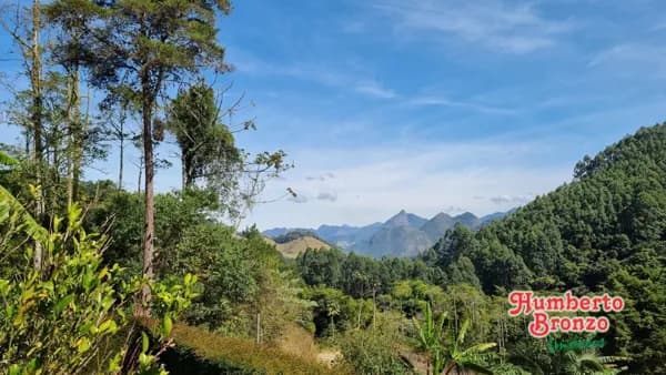 Mini Chacara com vista à venda por R$ 330.000 - Lumiar - Nova Friburgo/RJ