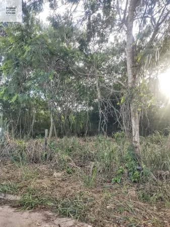 Terreno Lote próximo ao canal da Marina em Búzios.