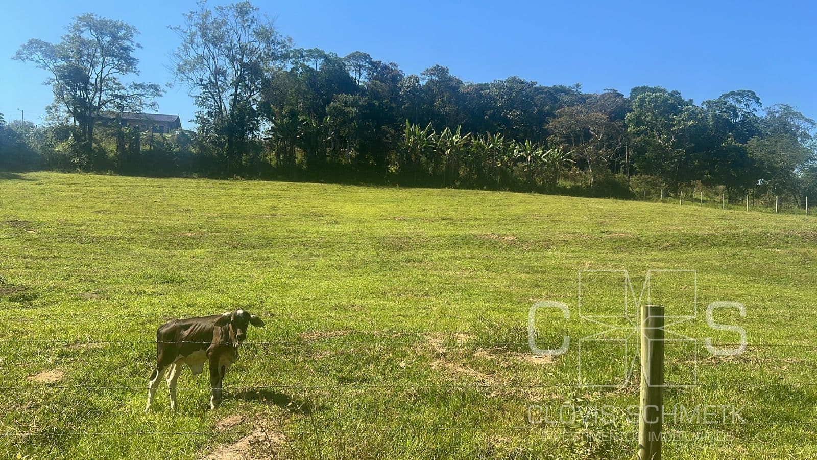 Área Rural em Morro Alto, Balneário Piçarras/SC