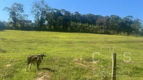 Área Rural em Morro Alto, Balneário Piçarras/SC