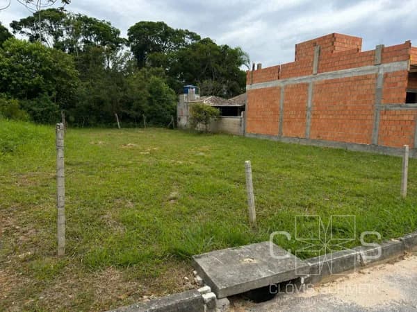 Terreno em rua Asfaltada