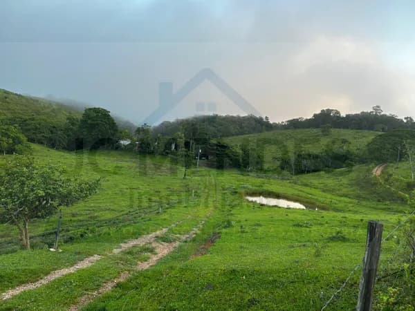 Fazenda/Sítios/Chácaras em Eldorado - Centro