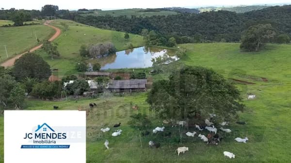 FAZENDA À VENDA EM MANOEL RIBAS/PR