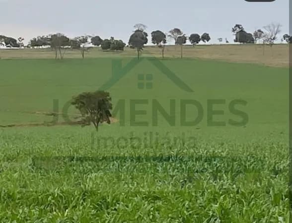FAZENDA COM FÁBRICA DE RAÇÃO PET