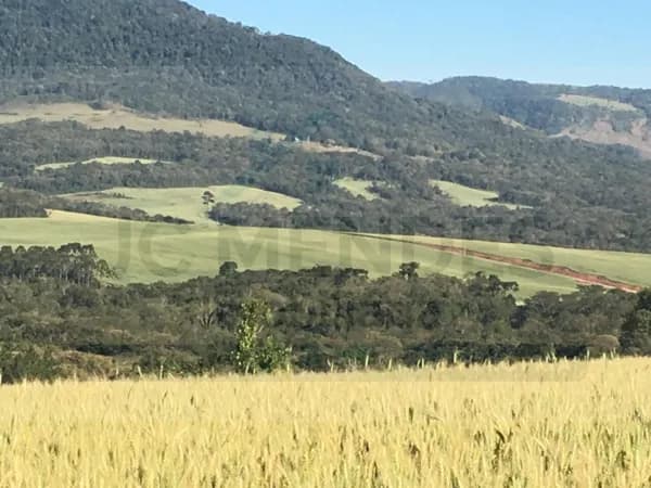 FAZENDA À VENDA EM TAMARANA – PARANÁ