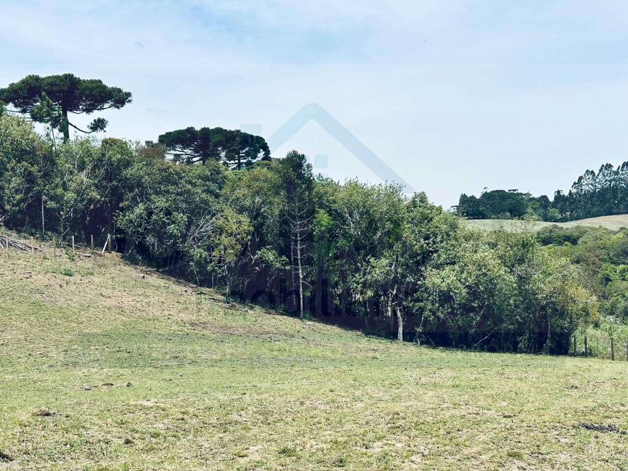 Fazenda/Sítios/Chácaras em São José dos Pinhais - Area Rural