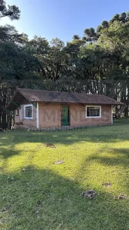 Fazenda/Sítios/Chácaras em Quatro Barras - Quatro Barras